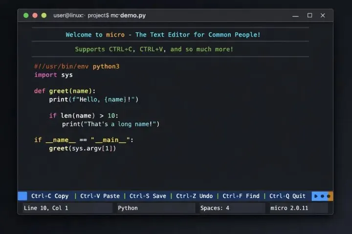 Micro editor on terminal